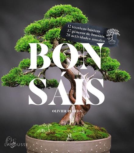 Bonsáis | 9788419436610 | Rémy Samson ; Isabelle Samson