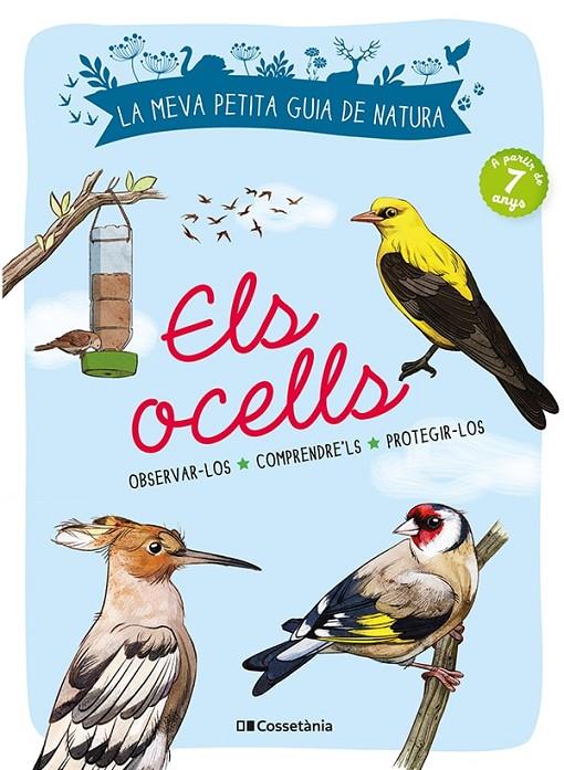 Els ocells | 9788413560359 | Michel Luchesi ; Maud Bihan