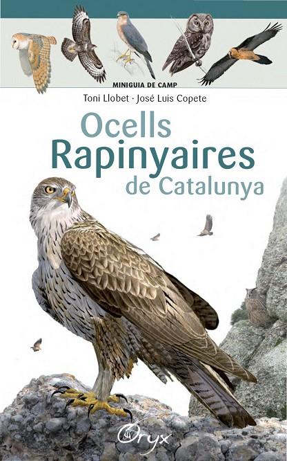 Ocells rapinyaires de Catalunya | 9788490346785 | Toni Llobet ; José Luis Copete