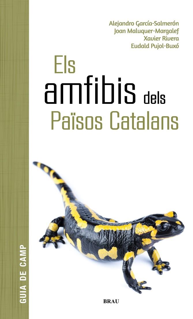 Els amfibis dels Països Catalans | 9788418096341 | Alejandro García-Salmerón ; Joan Maluquer-Margalef ; Xavier Rivera ; Eduald Pujol-Buxó