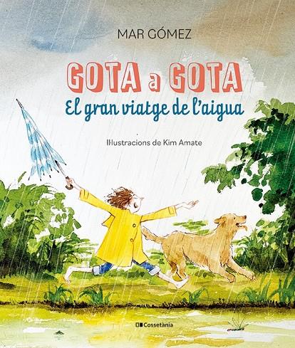 Gota a gota : el gran viatge de l'aigua | 9788413563749 | Mar Gómez ; Kim Amate