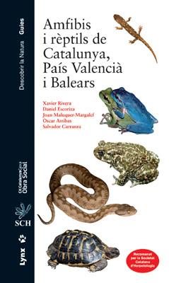 Amfibis i rèptils de Catalunya, País Valencià i Balears | 9788496553538 | Xavier Rivera ; Daniel Escoriza ; Joan Maluquer ; Oscar Arribas ; Salvador Carranza