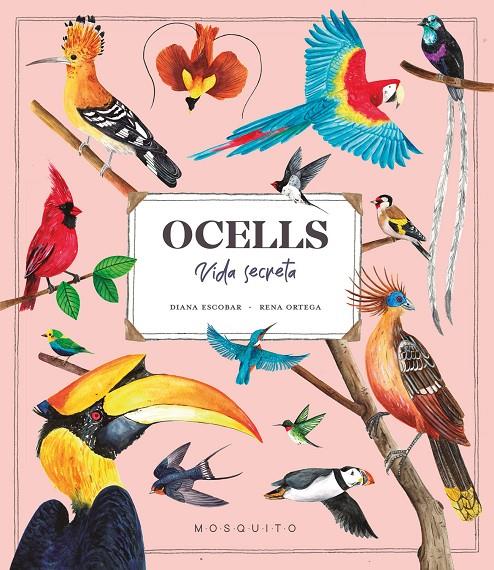 Ocells : vida secreta | 9788419095534 | Diana Escobar ; Rena Ortega