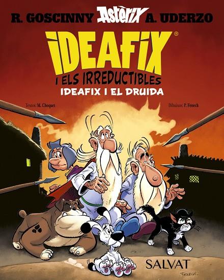 Ideafix i el druida (Ideafix i els irreductibles; 5) | 9788469643426 | Matthieu Choquet ; Philippe Fenech ; Albert Uderzo