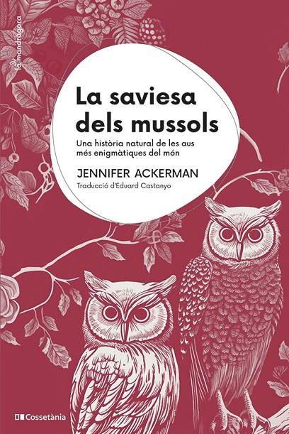 La saviesa dels mussols | 9788413563558 | Jennifer Ackerman