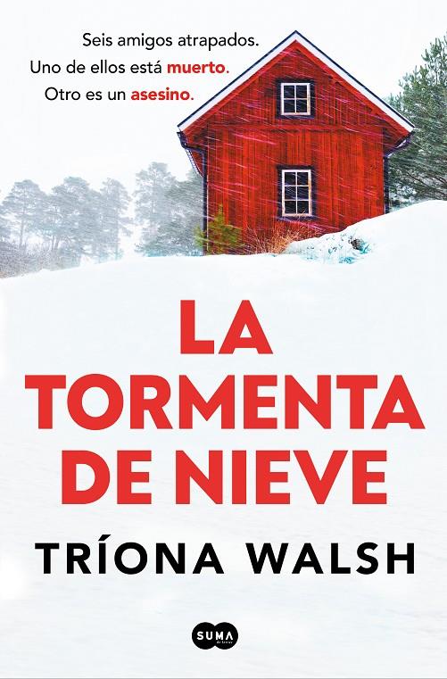 Tormenta de nieve | 9788491299028 | Tríona Walsh