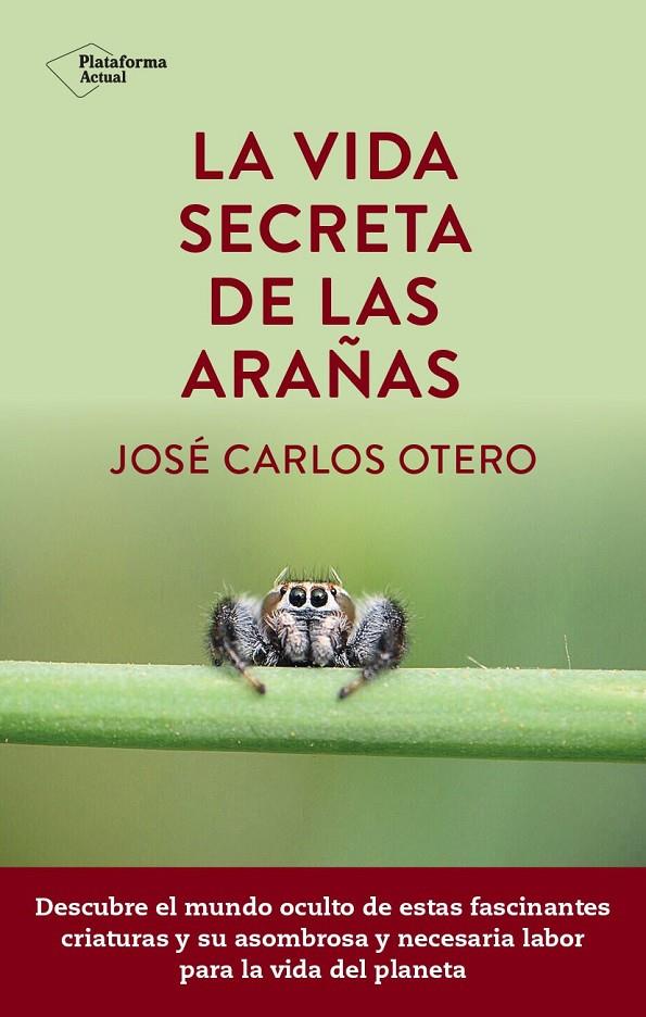 La vida secreta de las arañas | 9788419655189 | José Carlos Otero