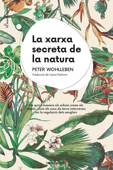 La xarxa secreta de la natura | 9788413562872 | Peter Wohlleben