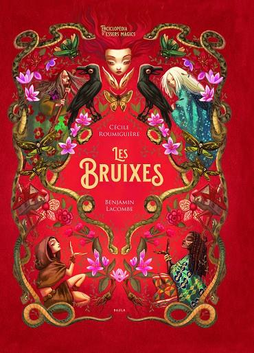 Les bruixes | 9788447948987 | Cécile Roumiguière ; Benjamin Lacombe