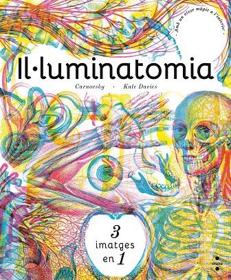 Il·luminatomia | 9788466143240 | Carnovsky ; Katie Davies