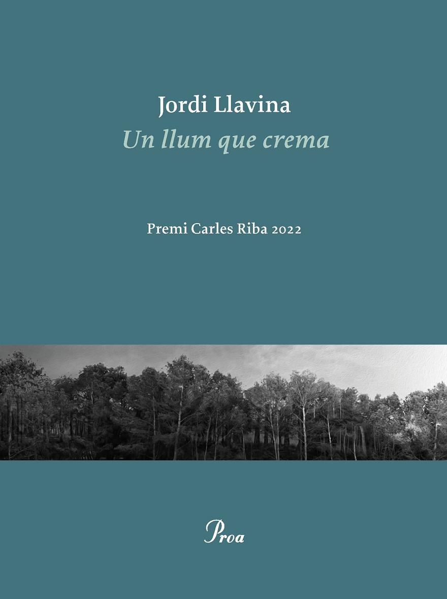 Un llum que crema | 9788475889979 | Jordi Llavina