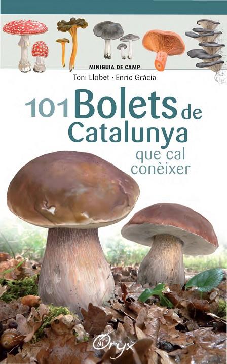 101 bolets de Catalunya que cal conèixer | 9788490347096 | Toni Llobet ; Enric Gràcia