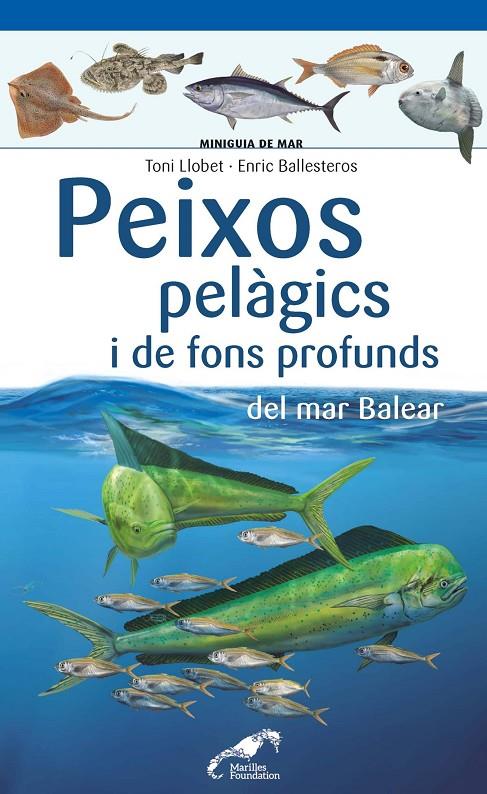 Peixos pelàgics i de fons profunds del mar Balear | 9788490349397 | Toni Llobet ; Enric Ballesteros