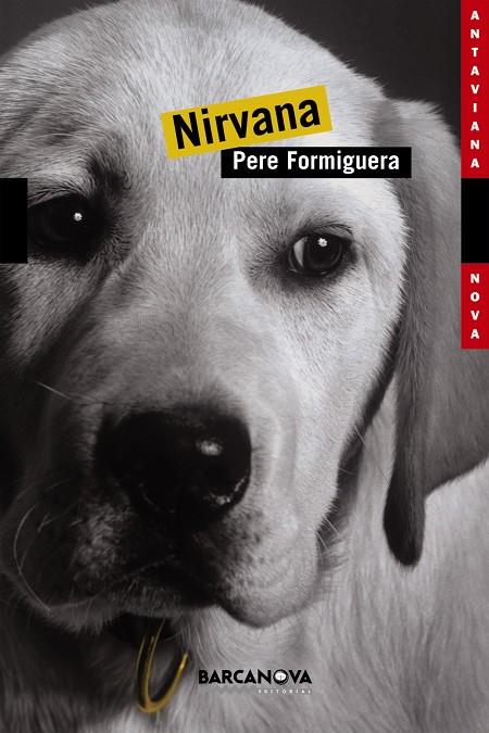 Nirvana | 9788448919443 | Pere Formiguera