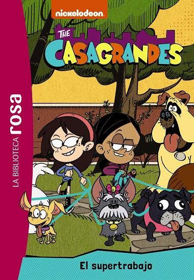 El supertrabajo (Los Casagrandes; 1) | 9788419316691 | Caroline Guineton