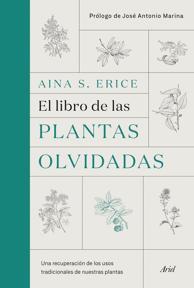 El libro de las plantas olvidadas | 9788434431461 | Aina S. Erice