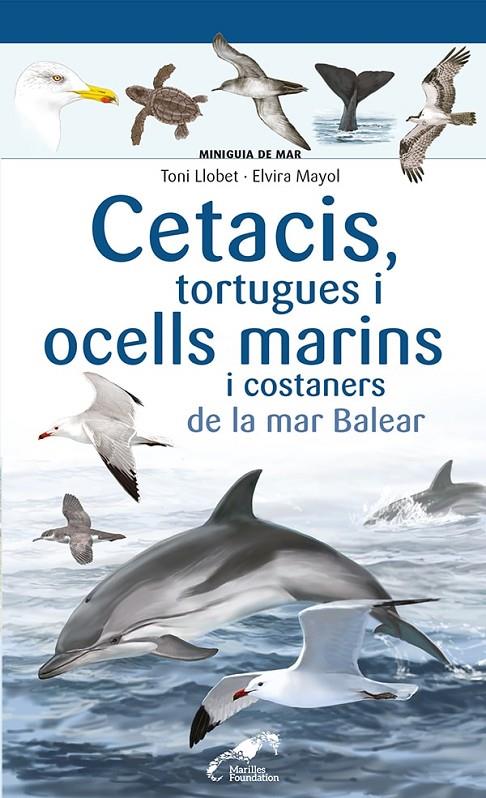 Cetacis, tortugues i ocells marins i costaners de la mar Balear | 9788413562735 | Toni Llobet ; Elvira Mayol