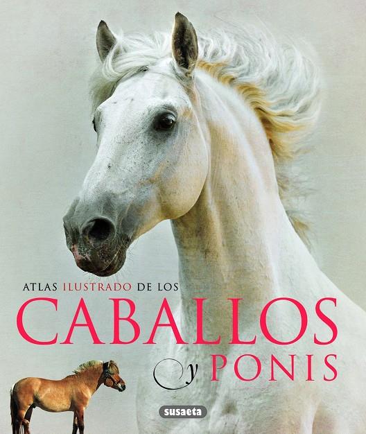 Caballos y ponis | 9788467713053 | Brian Laban