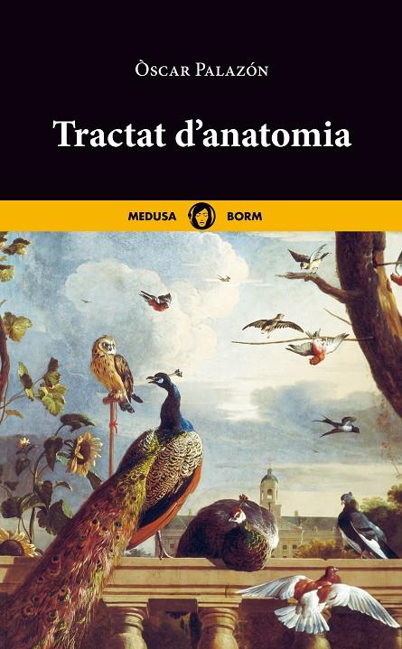 Tractat d'anatomia | 9788419202048 | Òscar Palazón