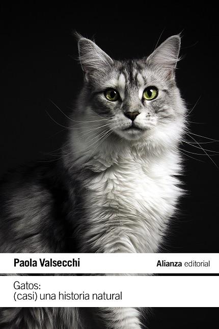 Gatos : (casi) una historia natural | 9788411485616 | Paola Valsecchi