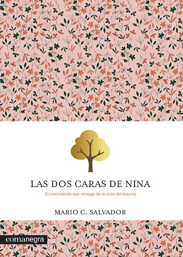 Las dos caras de Nina | 9788419590992 | Mario C. Salvador