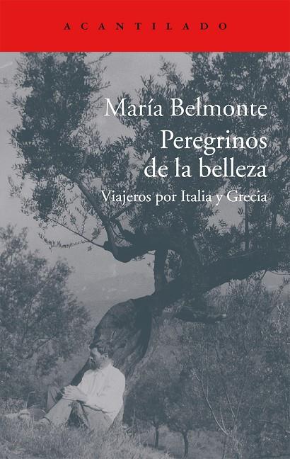 Peregrinos de la belleza | 9788416011513 | Maria Belmonte Barrenechea