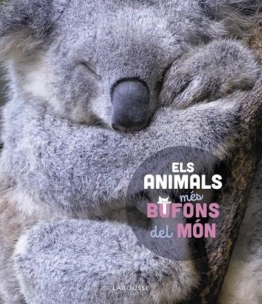 Els animals més bufons del món | 9788419436184 | Stéphanie Ledu