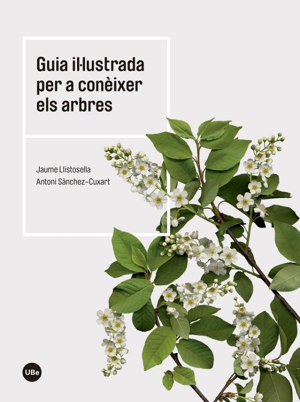 Guia il·lustrada per a conèixer els arbres | 9788447542444 | Jaume Llistosella ; Antoni Sànchez-Cuxart