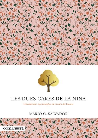 Les dues cares de la Nina | 9788410161047 | Mario C. Salvador