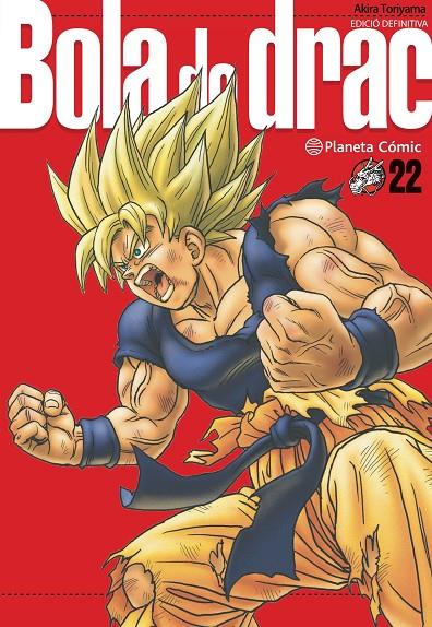 Bola de drac 22 | 9788413419046 | Akira Toriyama