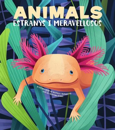 Animals estranys i meravellosos | 9788468270685 | Cristina Banfi ; Rossella Trionfetti