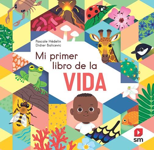 Mi primer libro de la vida | 9788498569377 | Pascale Hédelin ; Didier Balicevic