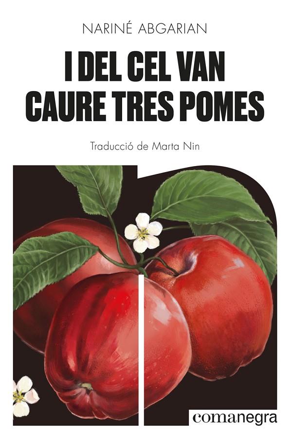 I del cel van caure tres pomes | 9788418857041 | Nariné Abgarian