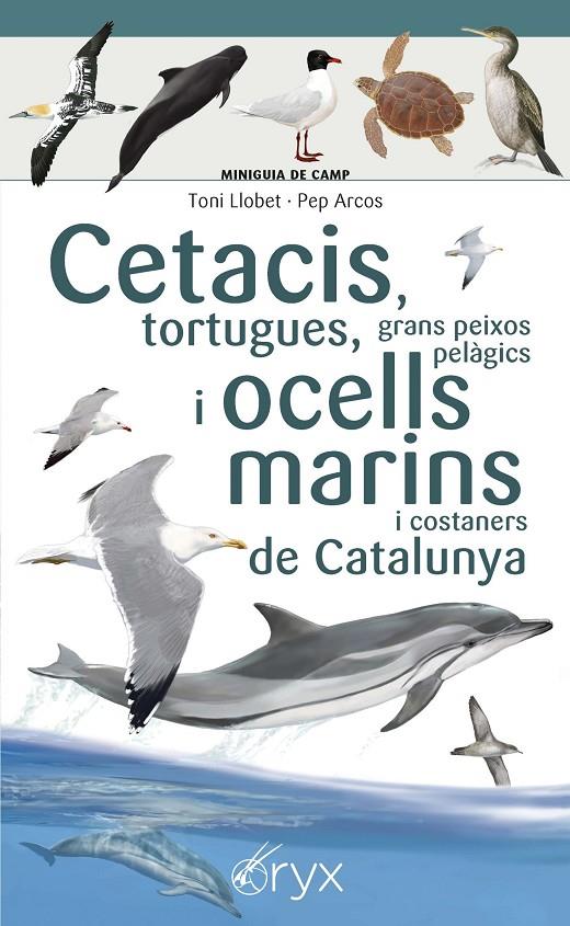 Cetacis, tortugues, grans peixos pelàgics i ocells marins de Catalunya | 9788490349441 | Toni Llobet ; Pep Arcos