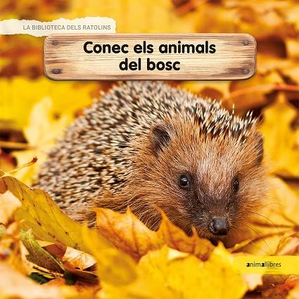 Conec els animals del bosc | 9788417599218 | Céline Lamour-Crochet