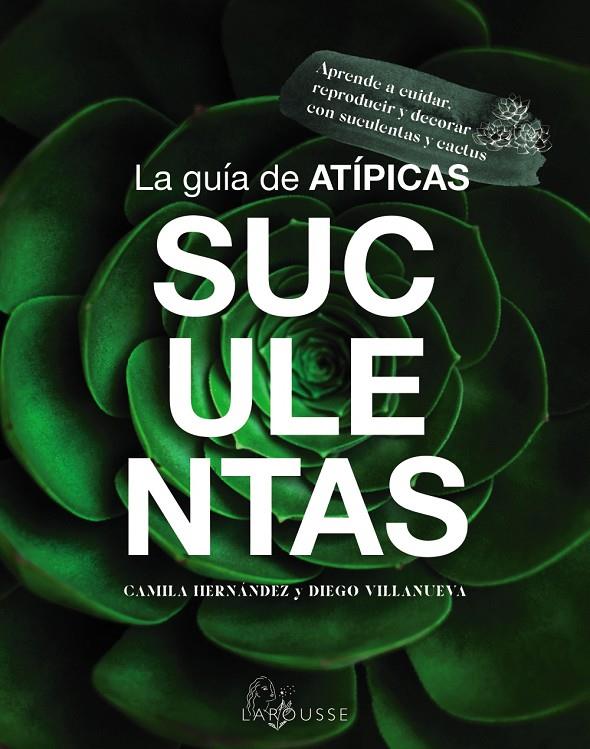 La guía de atípicas suculentas | 9788419436603 | Camila Hernández ; Diego Villanueva