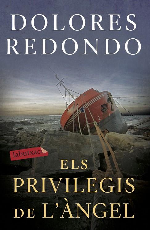 Els privilegis de l'àngel | 9788417423971 | Dolores Redondo