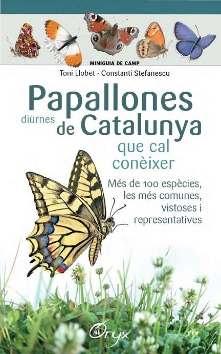 Papallones diürnes de Catalunya que cal conèixer | 9788490346754 | Toni Llobet François ; Constantí Stefanescu