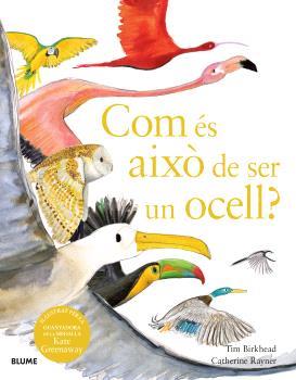 Com és això de ser un ocell? | 9788410048102 | Tim Birkhead ; Catherine Rayner