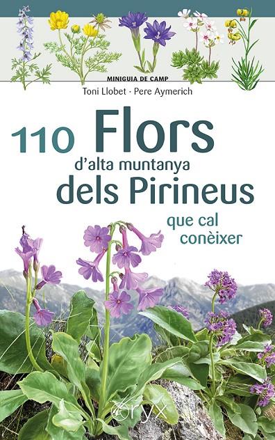 110 flors d'alta muntanya dels Pirineus que cal conèixer | 9788413564647 | Toni Llobet ; Pere Aymerich