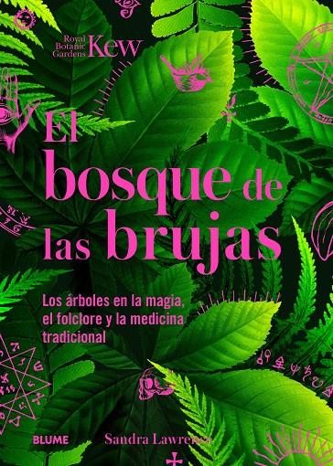 Bosque de las brujas | 9788410268272 | Sandra Lawrence