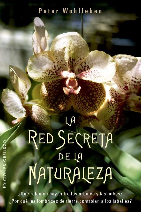 La red secreta de la naturaleza | 9788491114192 | Peter Wohlleben