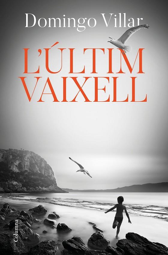 L'últim vaixell | 9788466425490 | Domingo Villar