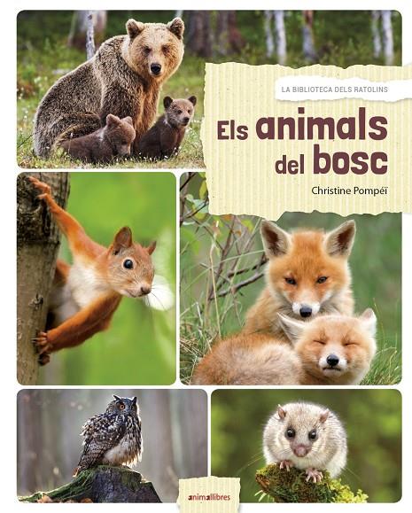 Els animals del bosc | 9788417599027 | Alexia Romatif