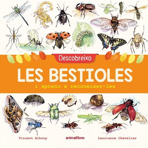 Descobreixo les bestioles i aprenc a reconèixer-les | 9788417599201 | Vincent Albouy