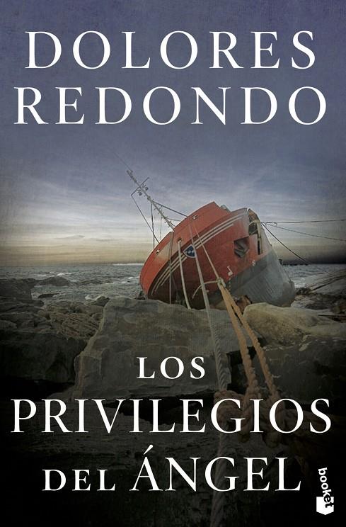 Los privilegios del ángel | 9788423358687 | Dolores Redondo