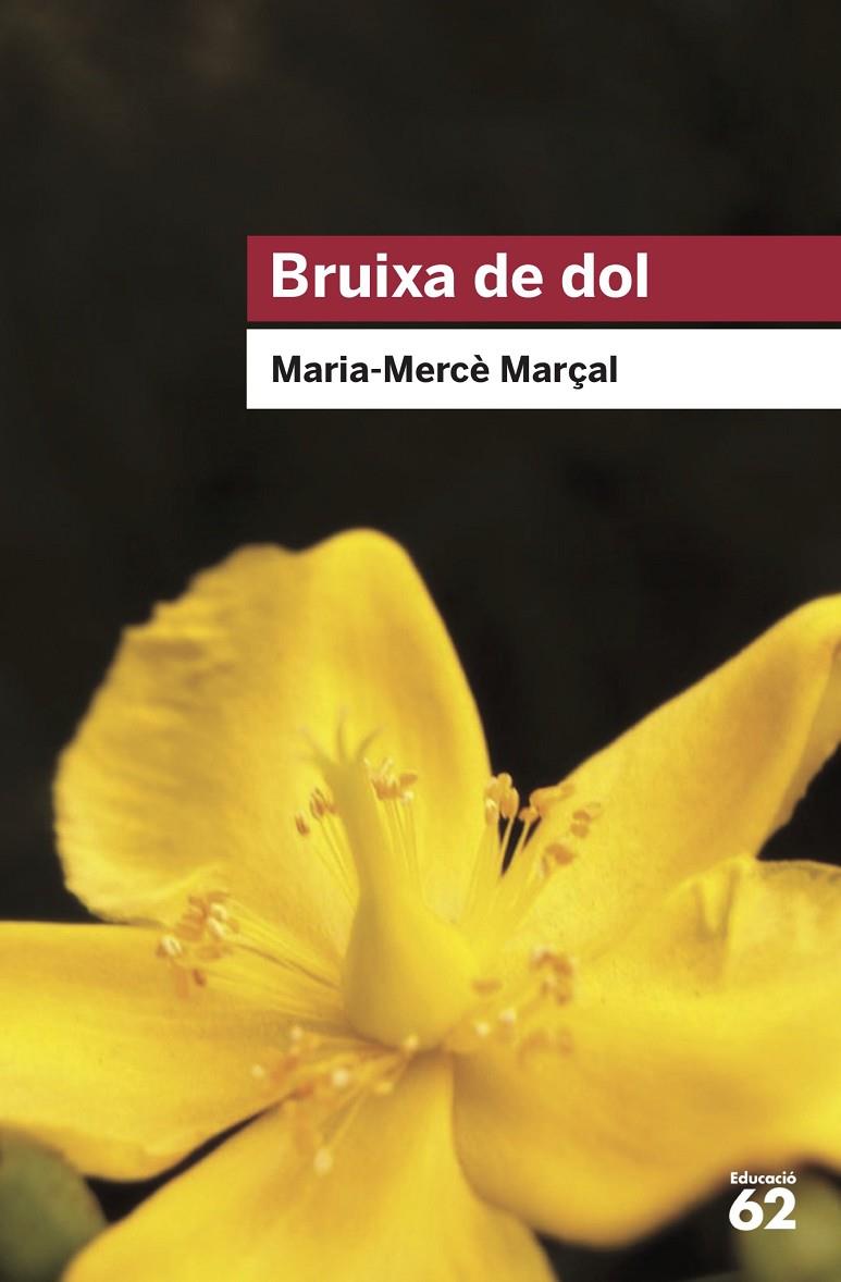 Bruixa de dol | 9788415954736 | Maria-Mercè Marçal