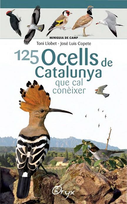 125 ocells de Catalunya que cal conèixer | 9788490346747 | Toni Llobet François ; José Luís Copete