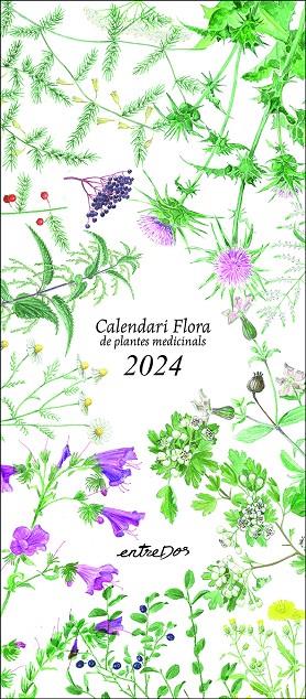 Calendari 2024 :  Flora de plantes medicinals | 9788418900624 | Pere Vilaldama