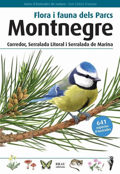 Flora i Fauna Montnegre | 9788496905405 | Toni Llobet François